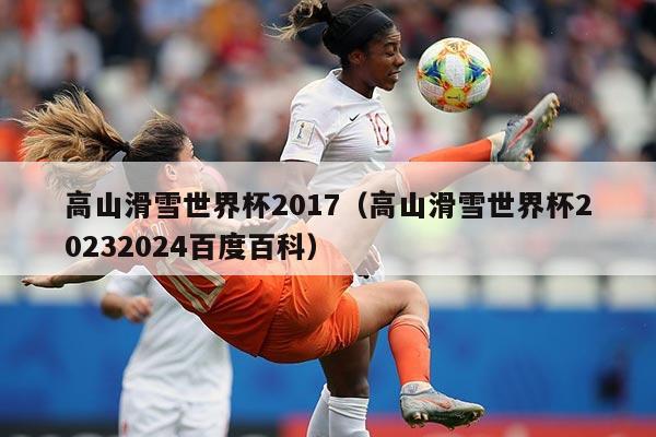 高山滑雪世界杯2017（高山滑雪世界杯20232024百度百科）