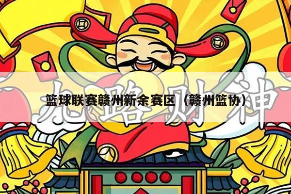 篮球联赛赣州新余赛区（赣州篮协）