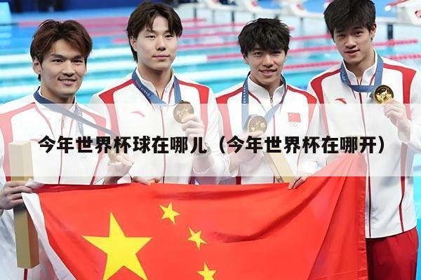 今年世界杯球在哪儿（今年世界杯在哪开）