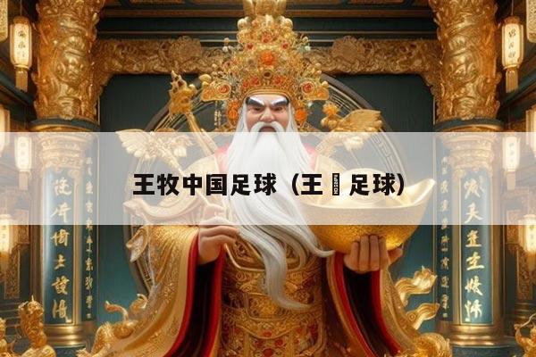 王牧中国足球（王垚足球）