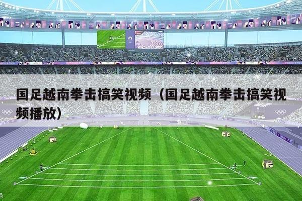 国足越南拳击搞笑视频（国足越南拳击搞笑视频播放）