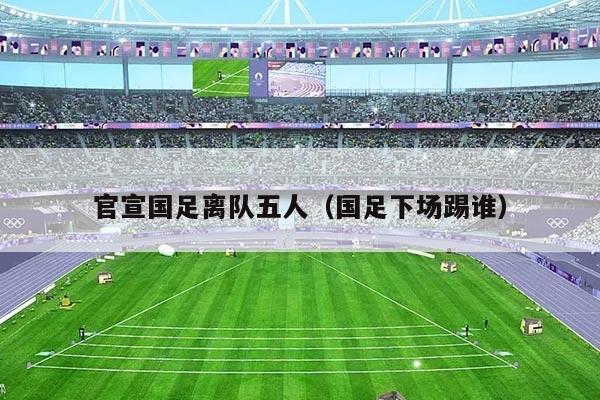 官宣国足离队五人（国足下场踢谁）